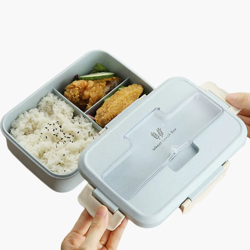 Bento Box